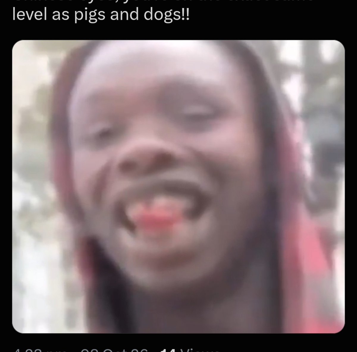 PRITHVIJIT05's tweet photo. @ningshenxukong @zhao_dashuai Chhinggchoong hes african 🤣 nice try though https://t.co/6HFns8DyTF