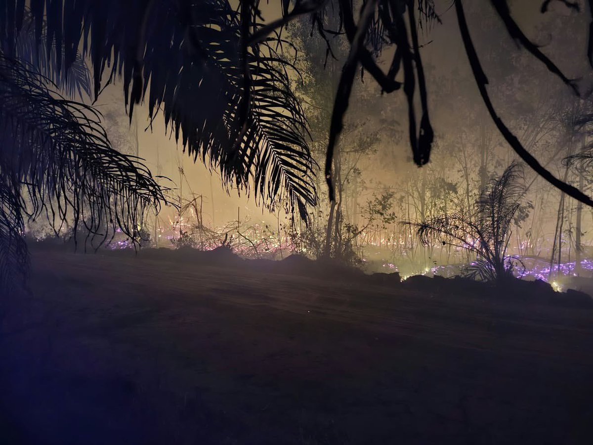 SalingJagaWarga's tweet photo. Aurora?
Bukan.
Ini Kalteng.

Langitnya emang indah.
Realitas di baliknya nggak.

Ini bukan cahaya aurora. Ini adalah bara yg beterbangan dari hutan yang terbakar.

Dalam satu frame ini
Ada manusia, satwa, dan rumah yang terdampak di baliknya.

Foto: moncaay

#SalingJagaWarga https://t.co/DXliUAmPZQ
