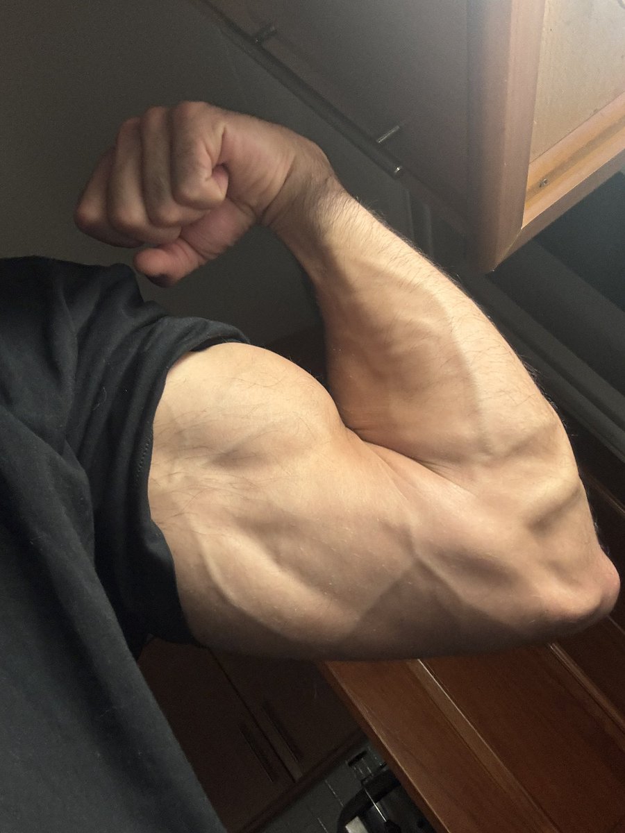 persianprince26's tweet photo. Compilation of the best biceps on this scene. The amount of customs you boys ask for is crazy 😈 https://t.co/hezxbK0M8X