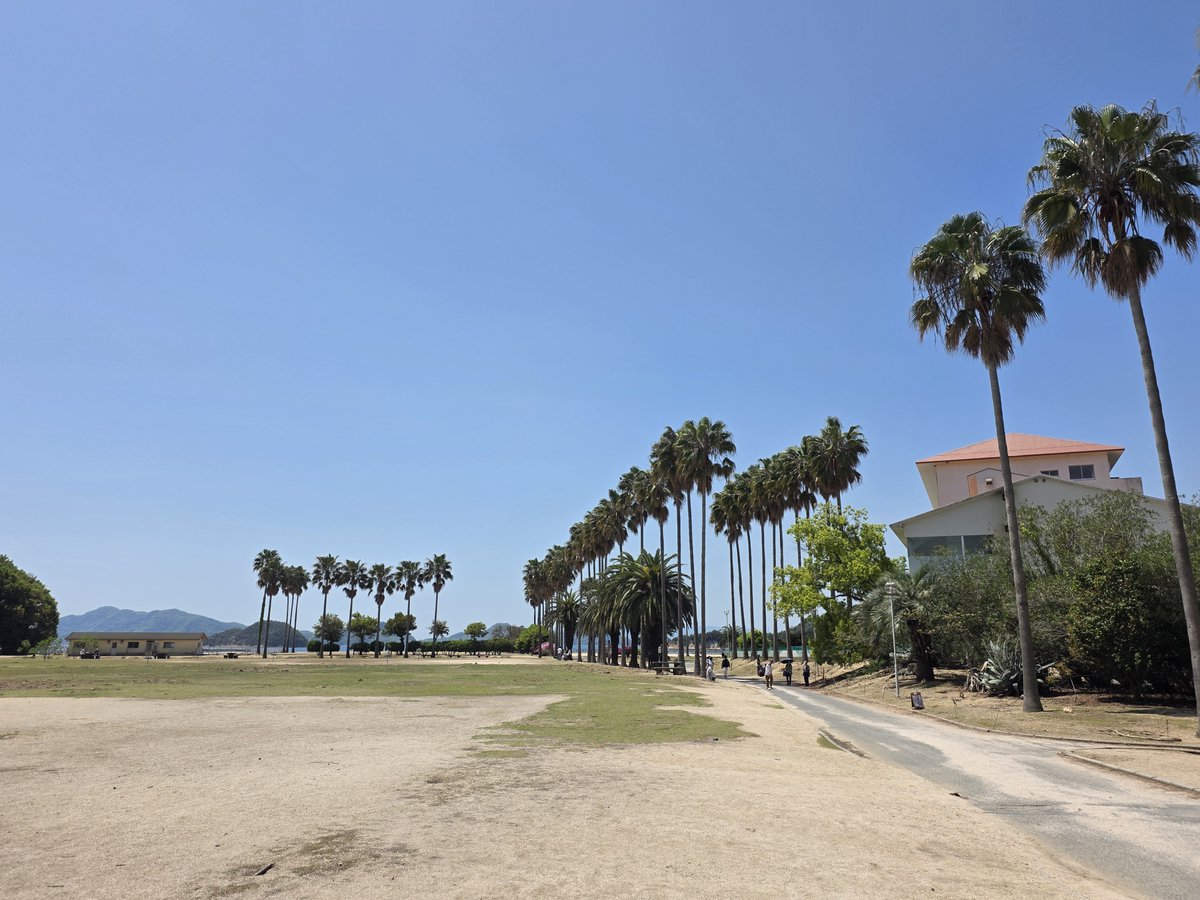 LuticaMay's tweet photo. 4월, 오쿠노시마.
4月、大久野島。

#여행 #旅行 https://t.co/PaSokyy5lY