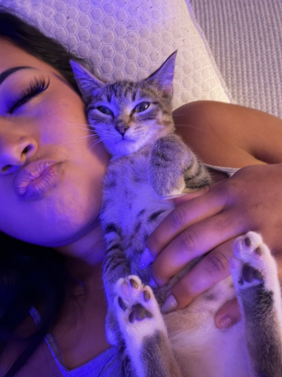 PdBDesyBooBear's tweet photo. Kitty!! ❤️ #kitty https://t.co/mFBYAJ8P5z
