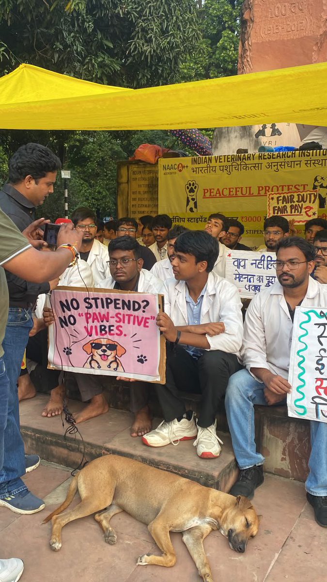 DrRaghavMittal's tweet photo. Thank you @News1IndiaTweet for covering our protest to increase the internship stipend at IVRI to 25000/- per month 💉
@icarindia @ChouhanShivraj @ivri_1889 @dare_goi @CimmytMl @YashpalSMa16711
@CPSGangwarBJP @PMOIndia @htTweets @ZeeNews @ABPNews @indiatvnews 
#IVRIINTERNSTIPEND https://t.co/om8QWXOAjK