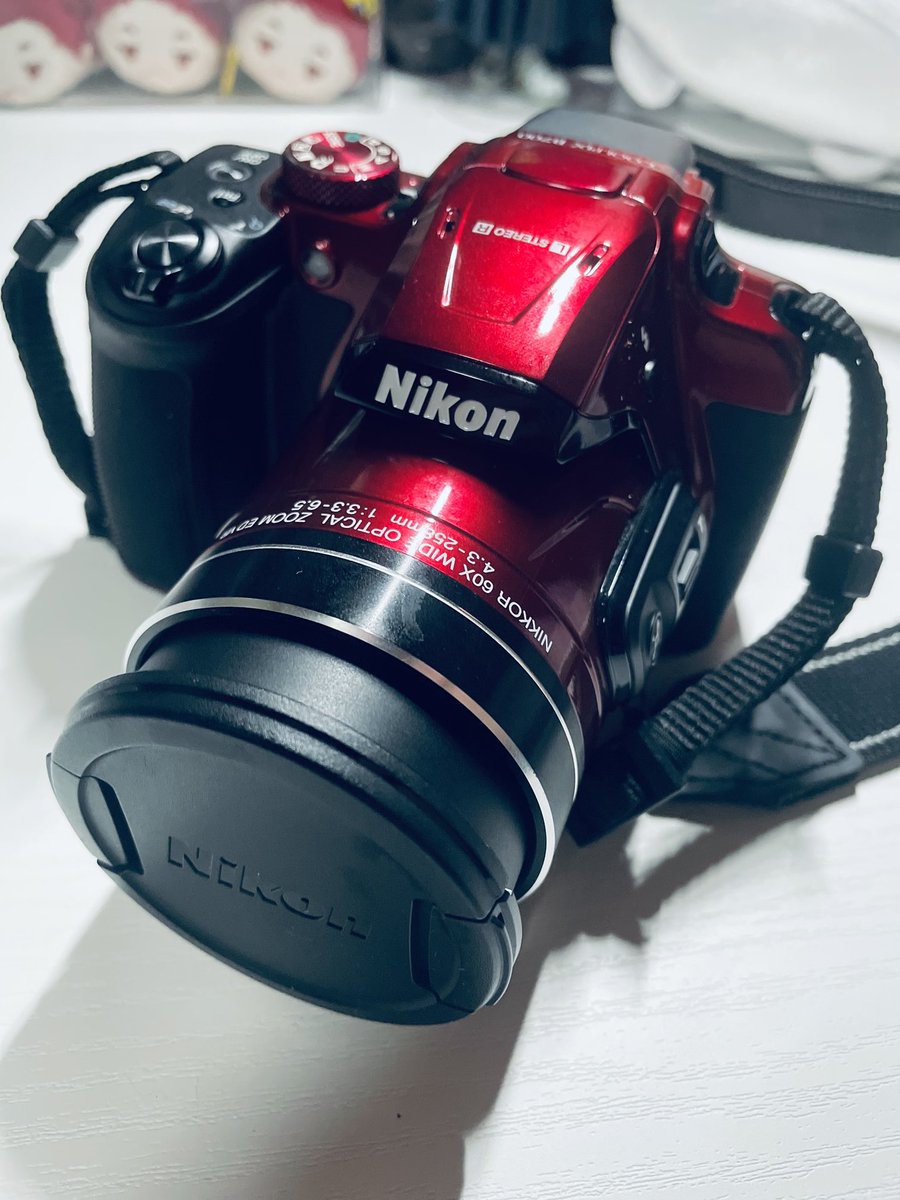 ruru_cosp's tweet photo. お下がりだけど一からカメラデビュー✨️少しずつアコスタとかに持って行って練習させてください(　߹꒳​߹ ) https://t.co/wnW0tfeyUm