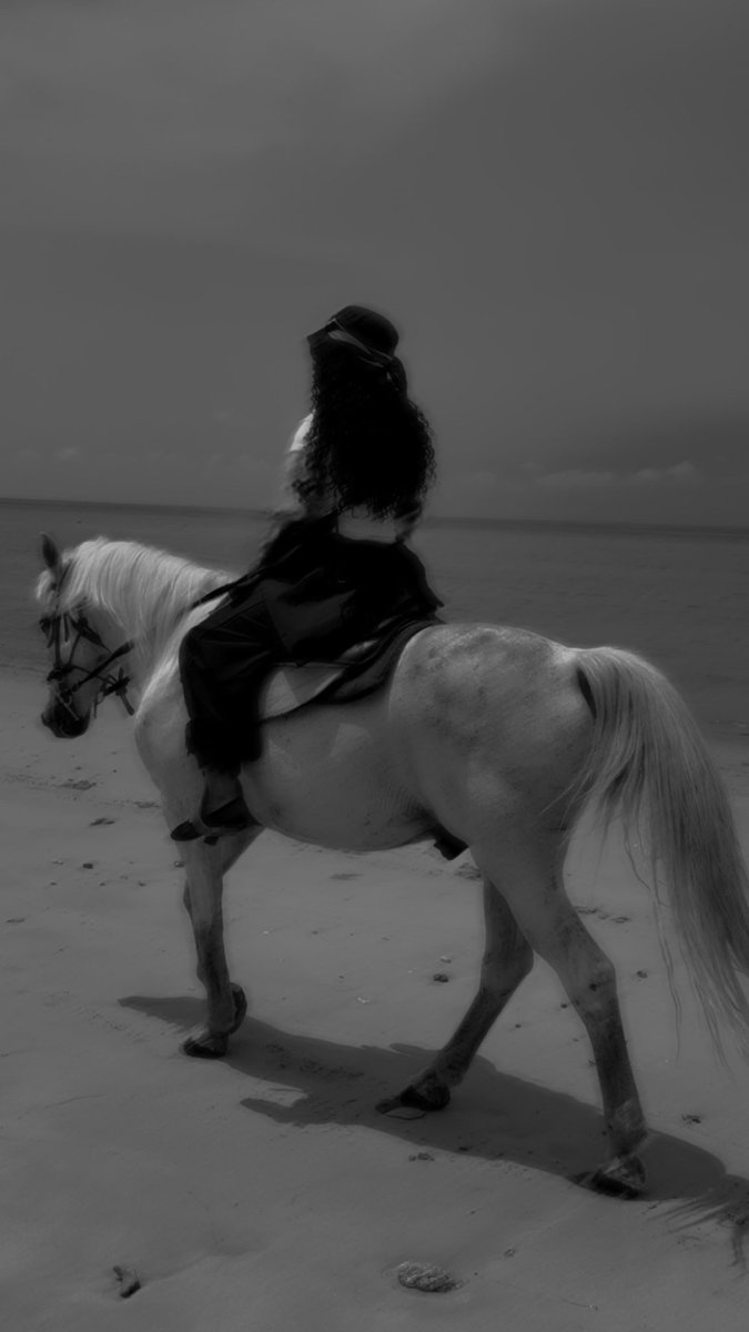 suz5959's tweet photo. She knows her worth, she trusts her journey, and she carries herself with grace 🖤🐎 https://t.co/yFph9lvWPg