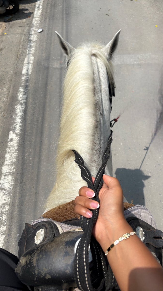 suz5959's tweet photo. She knows her worth, she trusts her journey, and she carries herself with grace 🖤🐎 https://t.co/yFph9lvWPg