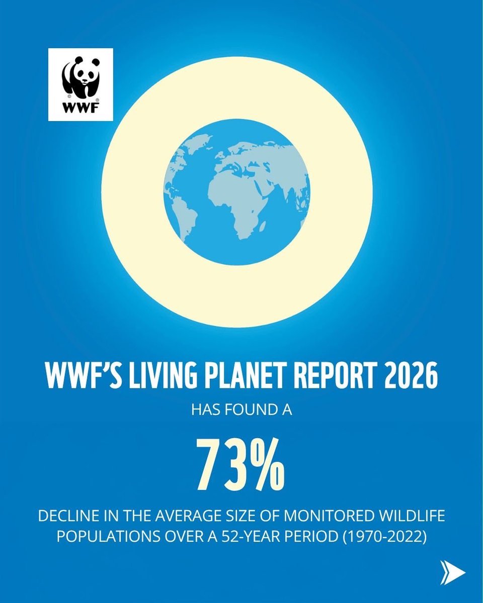 WWFINDIA's tweet photo. (1/2) WWF’s Living Planet Report 2026 is here.

It shows that nature is disappearing but it’s not too late to bring it back. https://t.co/JDXjOO4qyd