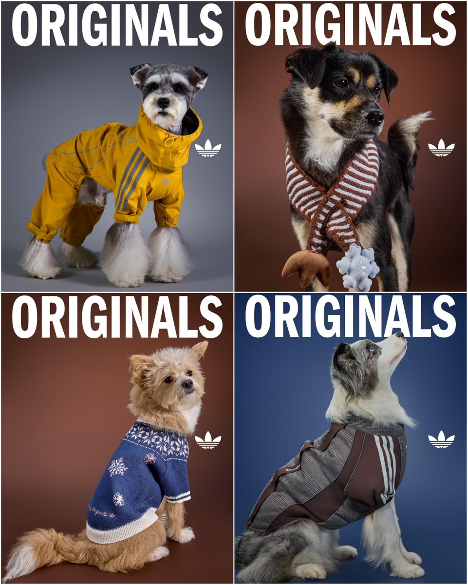 fullress's tweet photo. adidas Originals “Pet Collection 2026 WINTER”が海外発売 (アディダス オリジナルス “ペットコレクション 2026 冬/ウィンター”)

https://t.co/T69NG5xgoa https://t.co/UcINDXOOM3