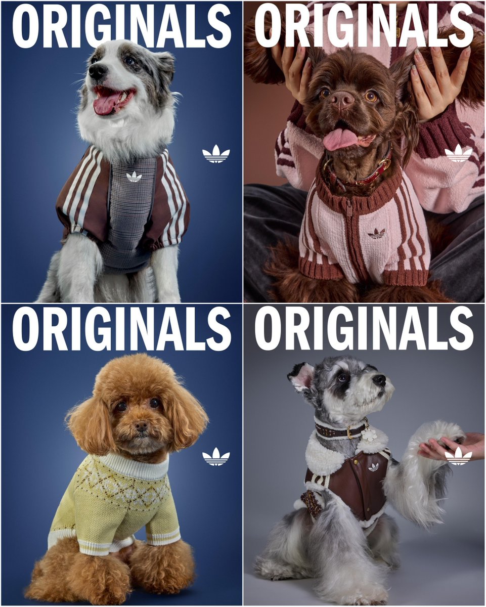 fullress's tweet photo. adidas Originals “Pet Collection 2026 WINTER”が海外発売 (アディダス オリジナルス “ペットコレクション 2026 冬/ウィンター”)

https://t.co/T69NG5xgoa https://t.co/UcINDXOOM3