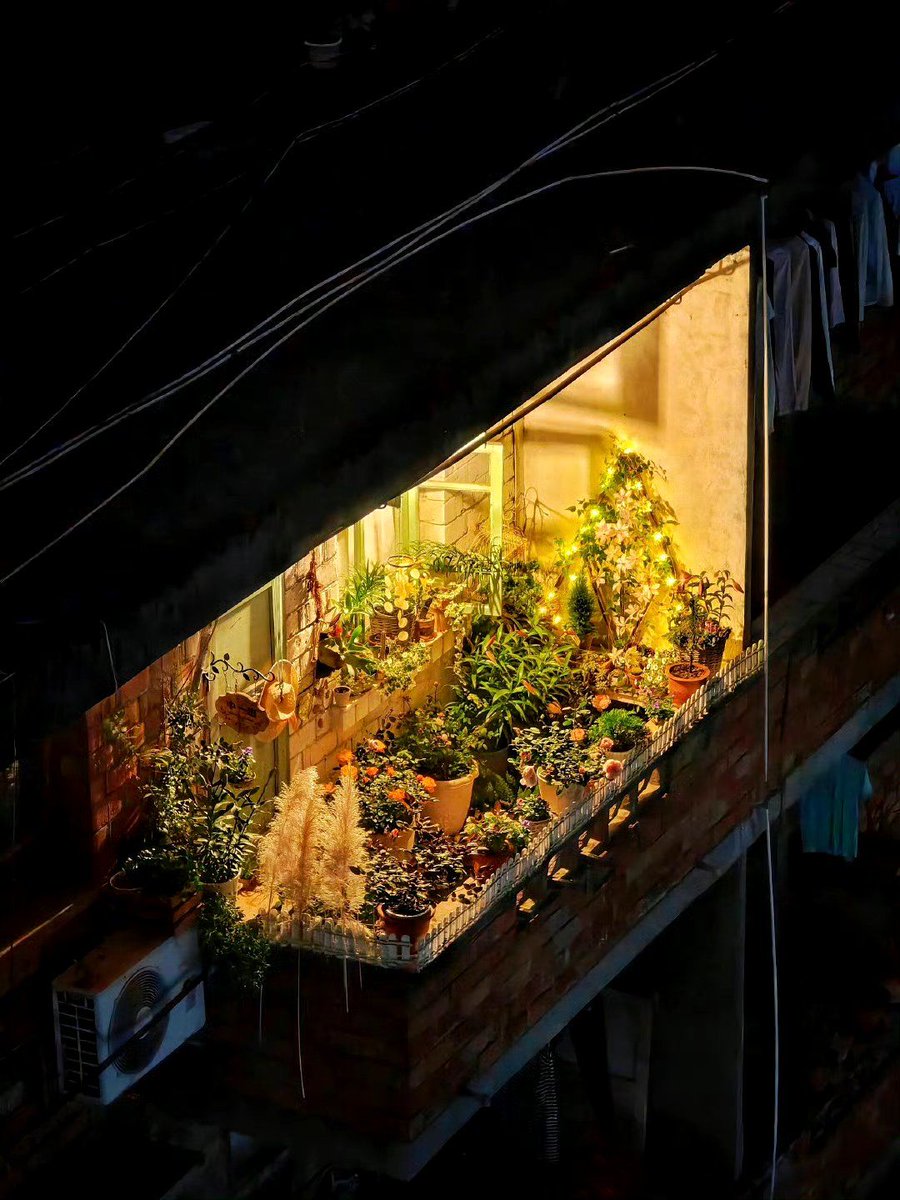 CharlieWes8bio's tweet photo. [Comunidad bulliciosa del vecindario, plantas de hortensias creciendo exuberantes en macetas, detalles delicados llenan la tranquilidad]， https://t.co/kbFIKo3cYz