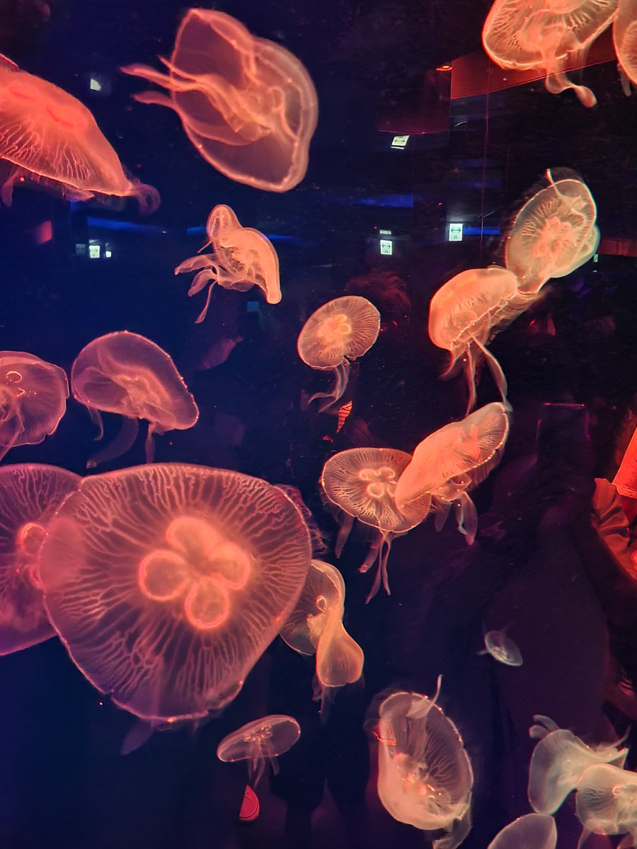 ka_zle's tweet photo. 水族館行かない？
水族館行った後に…しよ
この前オシャレかなって撮ったやつ！ https://t.co/cTi3iC8yOV