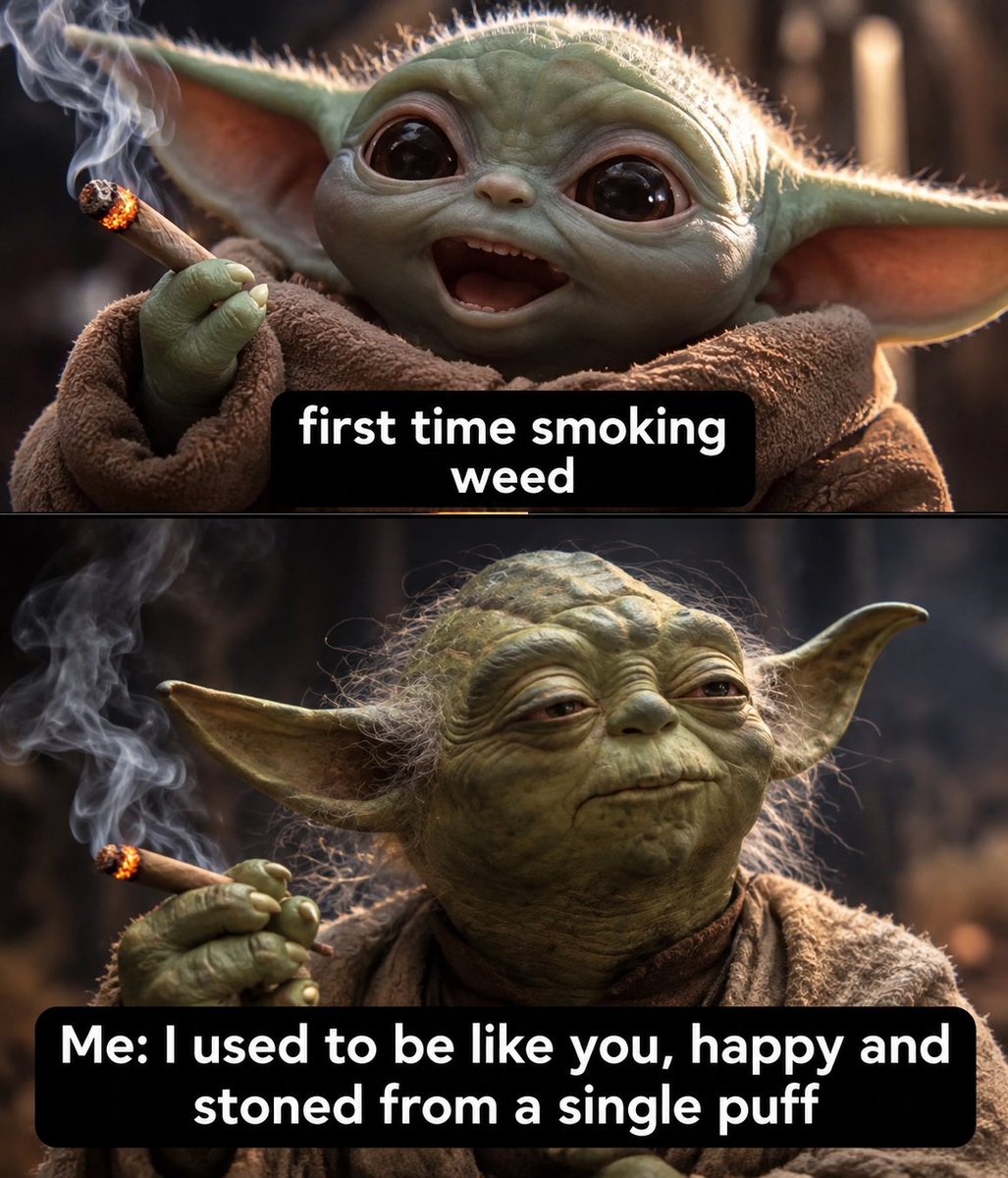 stonersvilla's tweet photo. https://t.co/r7JThwErn7