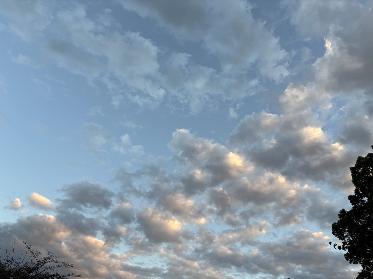 sky_memory24's tweet photo. 照らされた雲も綺麗だった☁️ https://t.co/n7kGxFvcpM