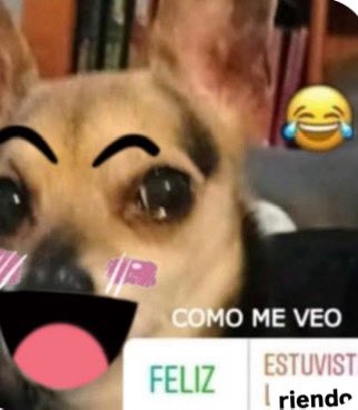 pexhosdemiel's tweet photo. when la profe sabe q siempre llegas tarde así q retrasa la clase media hora https://t.co/4yFp3UMMsk