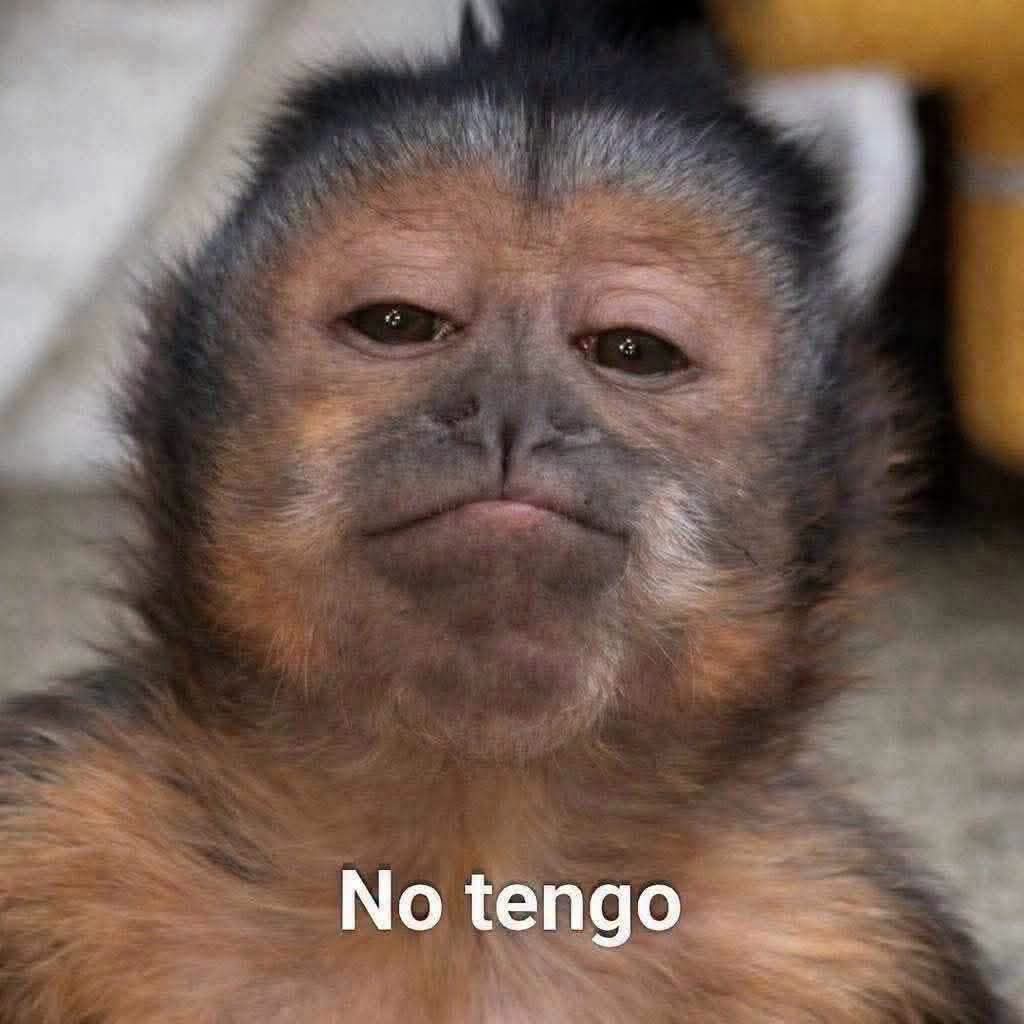 ojoscol0rsol's tweet photo. El psicólogo: dime 5 defectos que tengas
Yo con la realidad alterada: https://t.co/8qeKwSbe5z