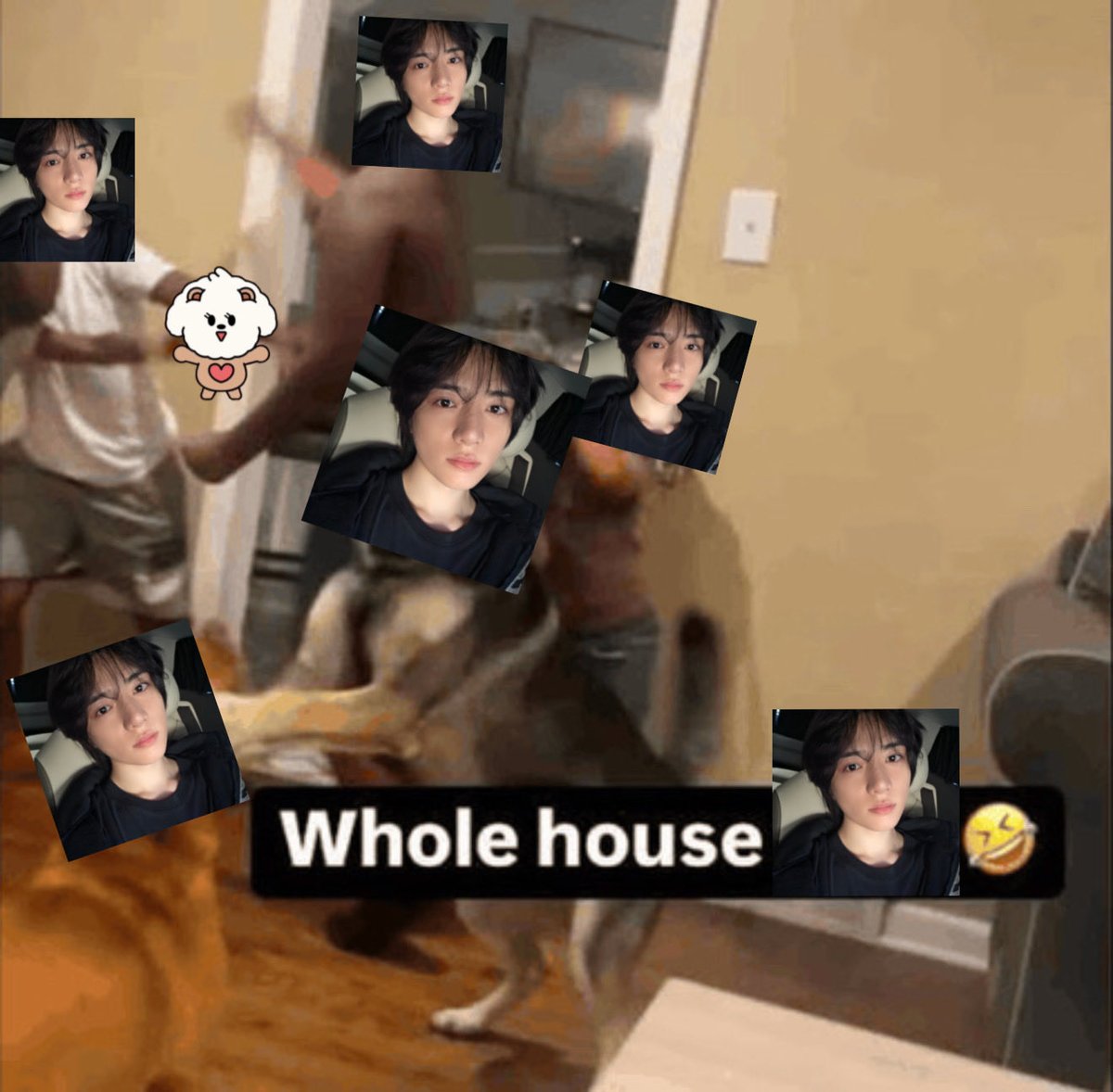 devilbeomie's tweet photo. my tl rn https://t.co/pmmoMRtFRI