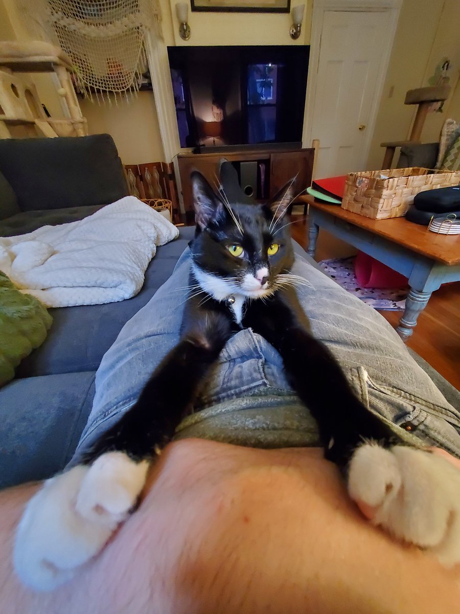 Horathmael's tweet photo. He's just kinda shaped like that https://t.co/BUJpSjinzG