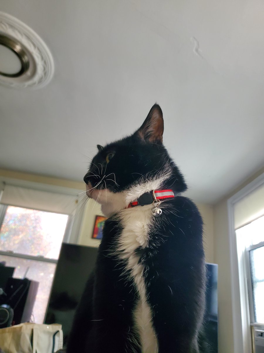 Horathmael's tweet photo. He's just kinda shaped like that https://t.co/BUJpSjinzG