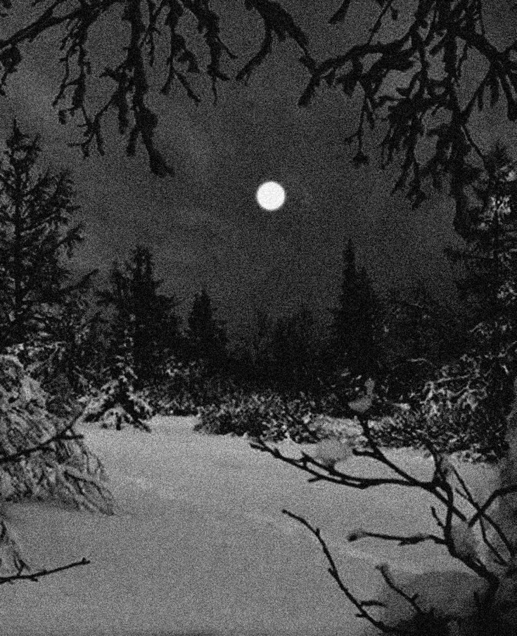 Darkvibe's tweet photo. “People have beautiful things to say about you, but you must die first.”

— Fyodor Dostoevsky https://t.co/P6nG6uP0HV
