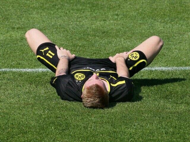 lichafaps's tweet photo. Alright buddy https://t.co/dO9dfxnbLO