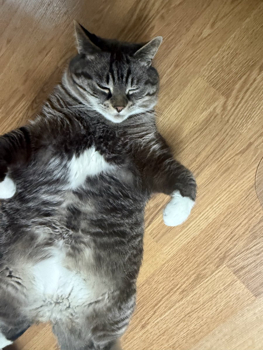 ContentDrew tweet picture