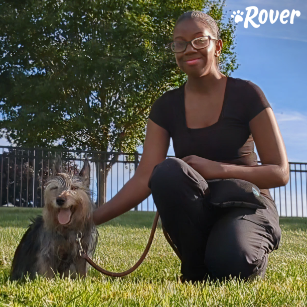 AnimalBehaviorC's tweet photo. “It really did help. I have found a lot of clients through Rover.” — Edina J

Don’t just take our word for it—real ABC trainers agree that joining Rover as a dog trainer helped them easily build their businesses. 

More info here: https://t.co/CVR9arbpKs &amp; create a free profile. https://t.co/Y6xLK1s2fX