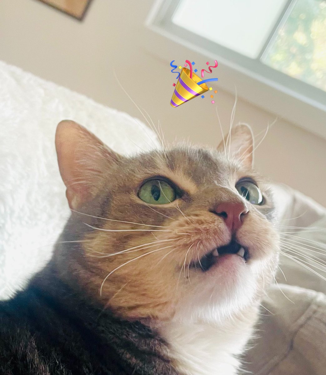 Queque's tweet photo. ¡Ya viene mi cumpleaños! (22 de octubre)!!
Y nomás por no dejar, y porque desde que me lo recomendaron no lo suelto, dejo aquí mi humilde y noble lista de regalitos de Amazon 💖💖💖
 https://t.co/OgUBzN3R3W https://t.co/YgI4kSojaa