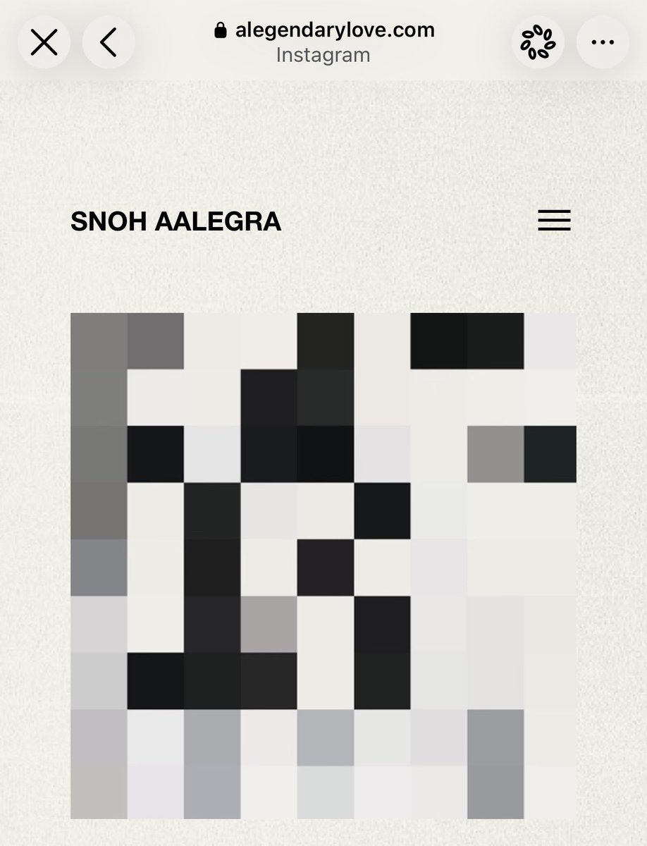 rnbmusic's tweet photo. Snoh Aalegra appears to be teasing a new album, with blurred artwork now featured in the music section of her official website. 👀 https://t.co/3q1UCOEDb0