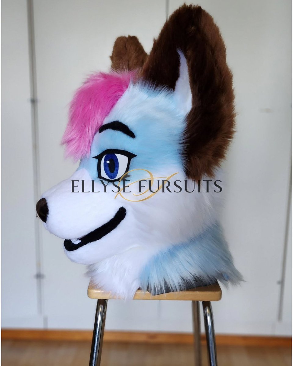 EllyseButttler's tweet photo. A new fursuit commission is finally finished, I took a break recently so it took me some time to finish this. I rarely make flat eyes so I'm still getting used to this effect lol #fursuit #fursuitmaker #huskyfursuit #furry #husky https://t.co/jAQaqdAIQn