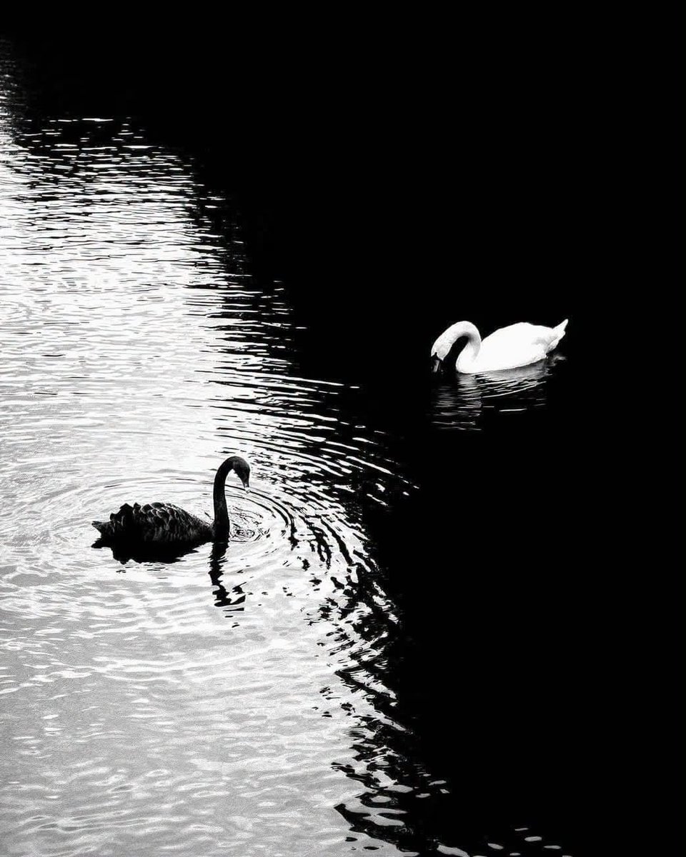 future6867411's tweet photo. ©️ Alan Schaller https://t.co/pYaOUmk4r1