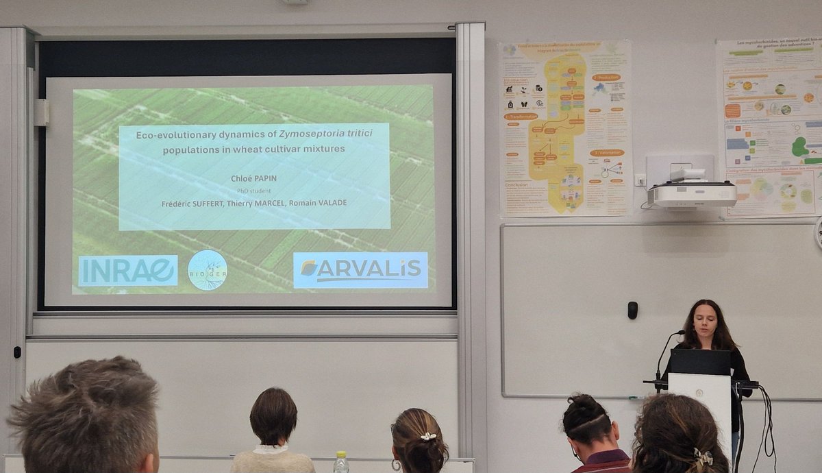 wheatpath's tweet photo. Great talk by Chloé Papin, PhD canditate #ADEP team #BIOGER @INRAE_DPT_SPE @Arvalisofficiel, on "Eco-evolutionary dynamics of #Zymoseptoria tritici populations in #wheat cultivar mixtures", at #Mix4Agroecology conference. https://t.co/bDbeDfAULF