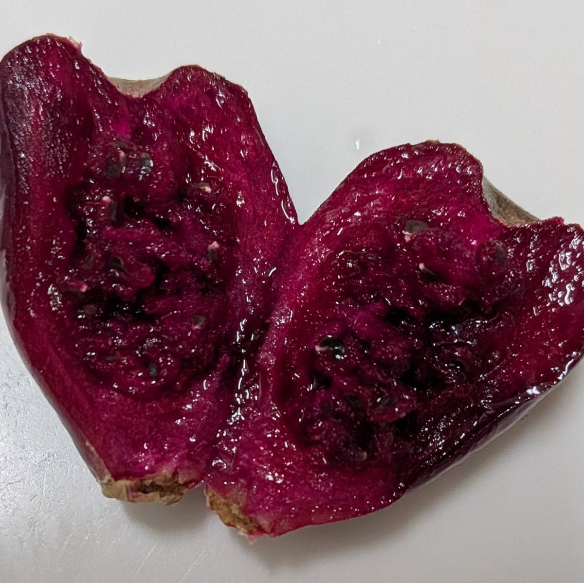 Gashu's tweet photo. 大丸盆の実が落ちてたから食べた。
美味しい。
#サボテン https://t.co/cbVY84tW2T