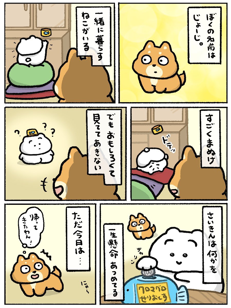 mayugeneko_'s tweet photo. ぼくからみたきみ🐕(1/2) https://t.co/FBVj61q71G
