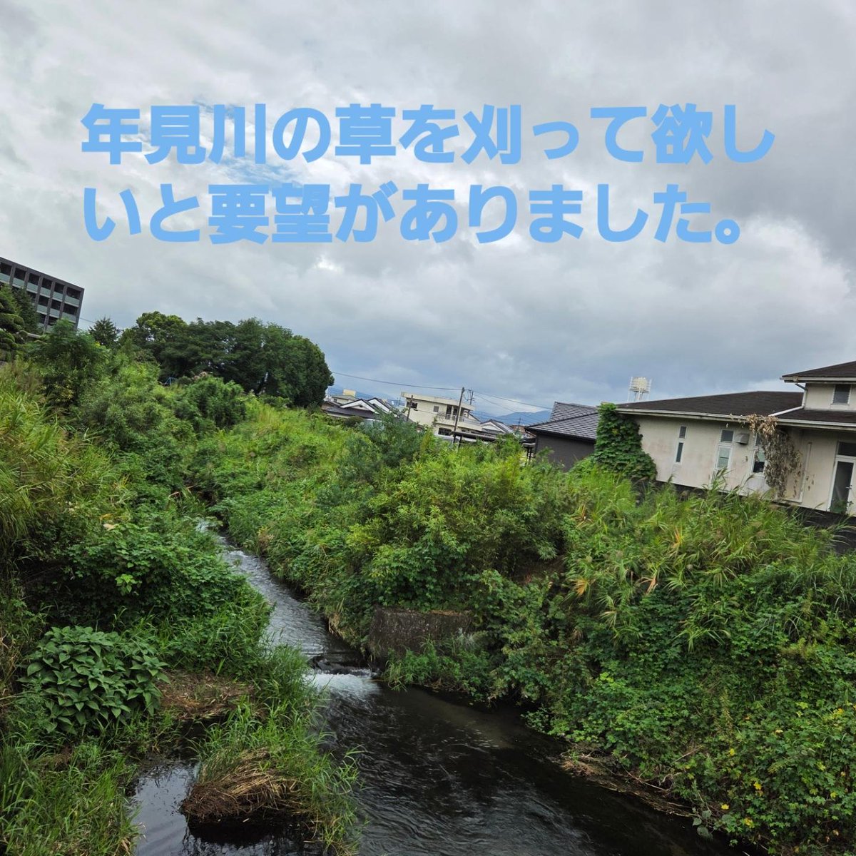 moririe1231's tweet photo. 草は刈ってありましたが、側溝から年見川に流れ込む排水口のまわりの草が刈ってありません。大雨が降ると草が邪魔になって排水が追い付かない時があるそうです。 https://t.co/7LszsSq8kh