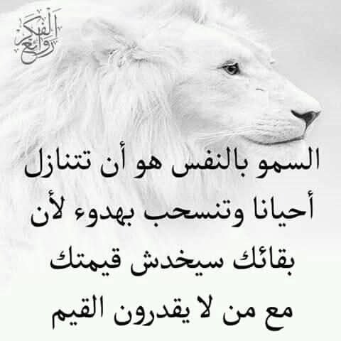 salmaamohy's tweet photo. يمثلني جدا https://t.co/BDlIFdfzWB