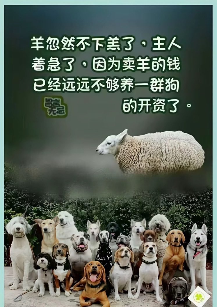 sCQUYMQ53xLsKyE's tweet photo. 如果勤勞能夠至富，那麼農民都是佰萬富翁。
舉個簡單易懂的例子：
每年按時付電話費，特別是選擇自動付款，就是商家割的韭菜，用戶超過三至五年話費自動漲價。…
不要再把別人的苦難，當著勵志來宣傳，六七十歲本來應該享受晚年生活，修身養性有空閒來幫助教育下一代，而不是被生活所迫幹活掙錢。…
人無德山崩地裂！
人算不如天算！
古人雲：
井蛙不可語海
夏蟲不可語冰
—荘子(秋水)
