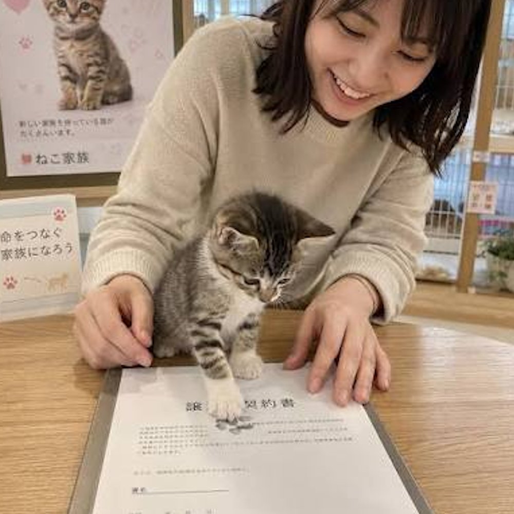 interesting_aIl's tweet photo. Some Japanese Shelters Give Cats a “Signature”

Some animal facilities in Japan have cats leave a paw print on adoption paperwork as a cute keepsake https://t.co/xhzcXpICzv