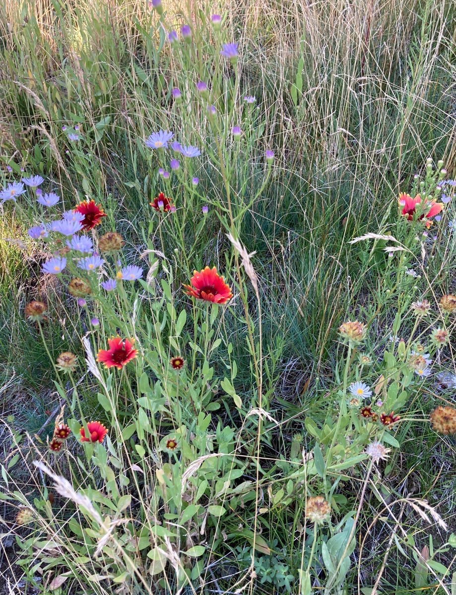 xodidblue's tweet photo. come and see
the real flowers
of this painful world

Basho

drunk, writing a line
why is it snowing
in the mirror?

me https://t.co/OAgd0kakLt