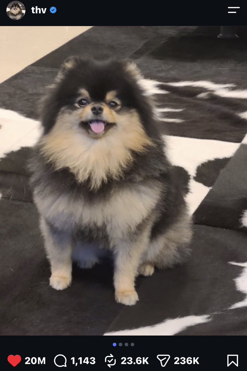 MJK_197's tweet photo. yeontan vs  4flop https://t.co/8W9Ak7f8Dy
