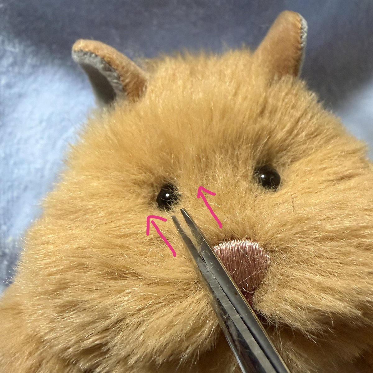 HuggyMoggy's tweet photo. カットする時はハサミを毛の流れと並行に置いて毛先から少しづつ切ります✂️🐹 https://t.co/kgEpF3XaeE