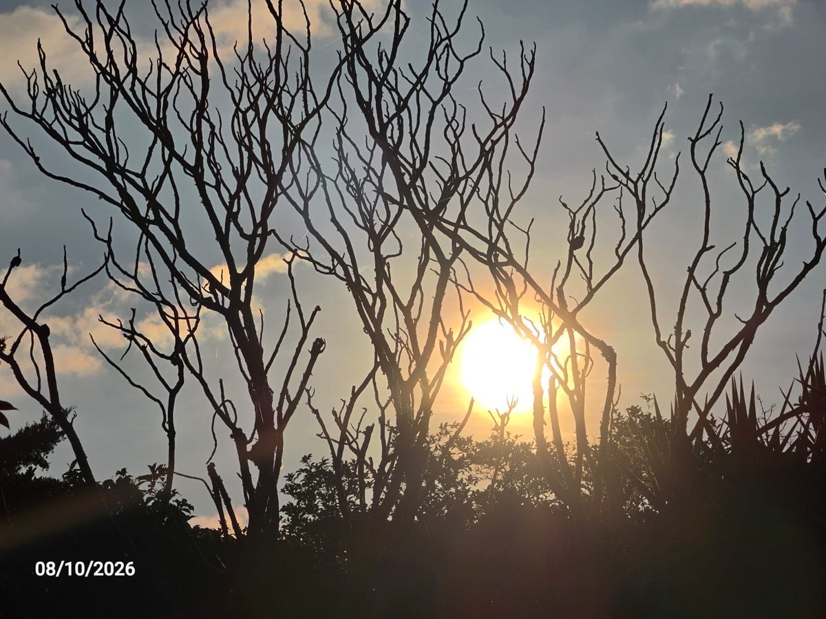 ruthiru30's tweet photo. Belleza de amanecer desde #Aserri! 🇨🇷 Las fotos me las manda mi gran amiga Sandra. https://t.co/ghKhRSDofo
