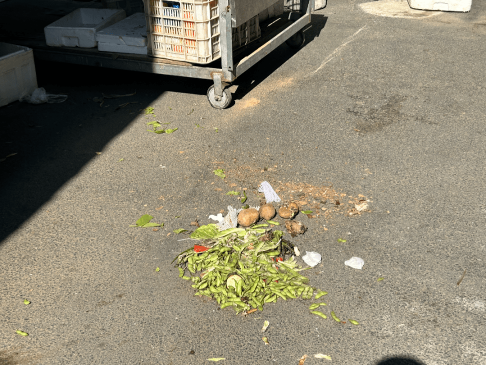 JuliannaHadgio's tweet photo. Hay una seal de flema, y la ricina fue vista hoy cerca del puesto de verduras del barrio. https://t.co/74fXahAiPJ