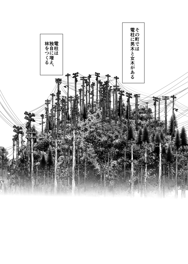pewowo's tweet photo. 電柱 https://t.co/R5BOgFDBOH