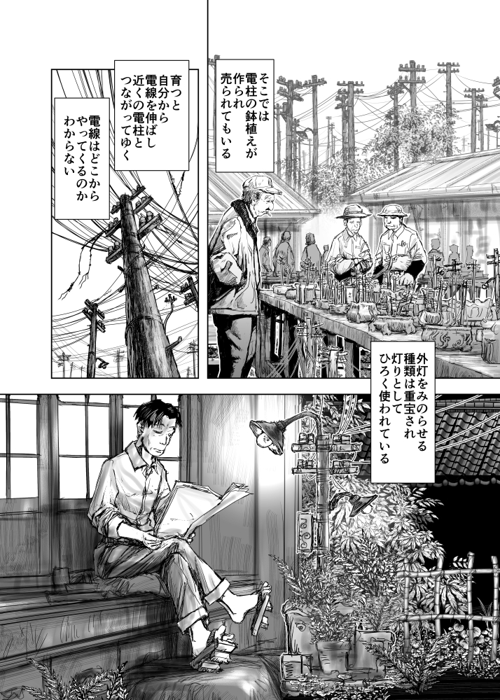 pewowo's tweet photo. 電柱 https://t.co/R5BOgFDBOH