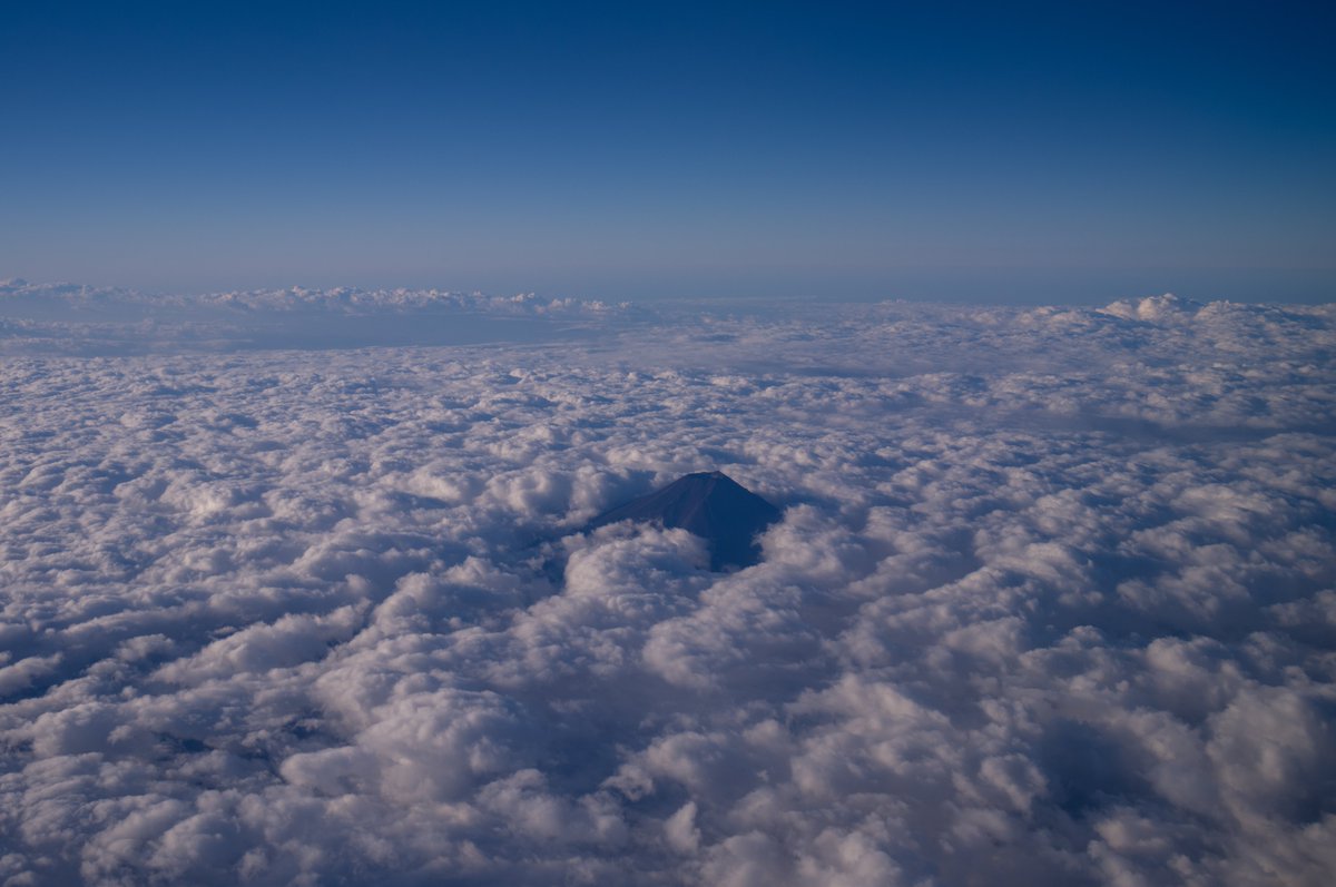 tsukougei's tweet photo. Noctilux-M f1.2/35mm ASPH. ×　M11    
#leicam11 #ライカ #Leica #ライカ #M11 #ANA #空の風景 #富士山 https://t.co/S7OZ0nJn2q