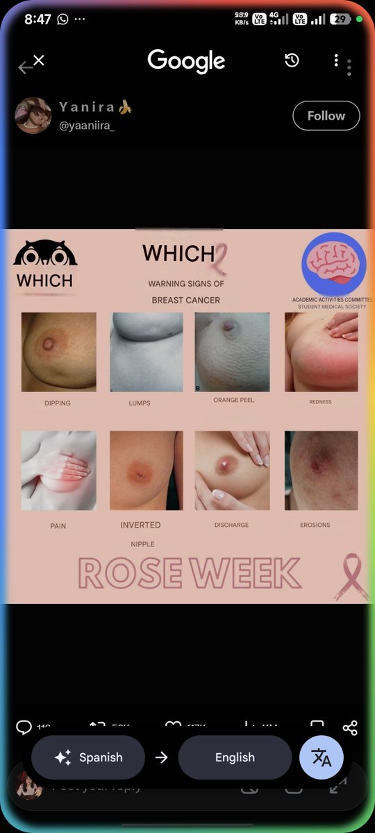 rosequarius_ tweet picture