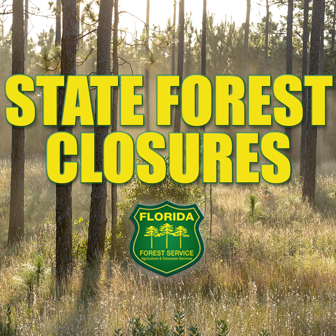 FLForestService's tweet photo. Effective Oct. 8, 2026, at 9 a.m., all campgrounds and recreation areas on the following State Forests are closed due to Hurricane Isaias.

Refunds will be issued automatically for reservations during the closures. For more, visit https://t.co/Mw4wBytoGF or call (877) 879-3859. https://t.co/u1RpTfRdBt