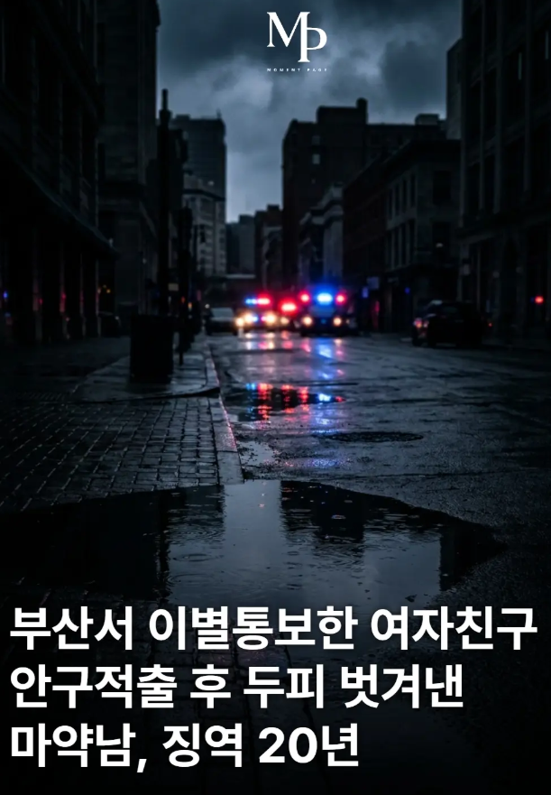 golae540637's tweet photo. 필로폰 하고 헤어지자는 여자친구 눈을 뽑고 두피까지 벗겨낸 부산 남자가 징역 20년 받았다
피해자는 평생 장애를 안고 사는데, 치료비 때문에 합의해서 형이 줄었단다 https://t.co/UJIaEMm80t
