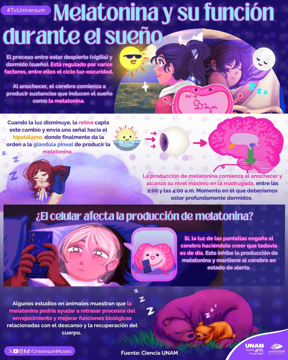 UNAM_MX's tweet photo. Si dormir bien 😴 es un sueño imposible de cumplir para ti, la infografía de @UniversumMuseo te explica porque debes apagar tu celular 👇. https://t.co/ZvRfpjOiNu