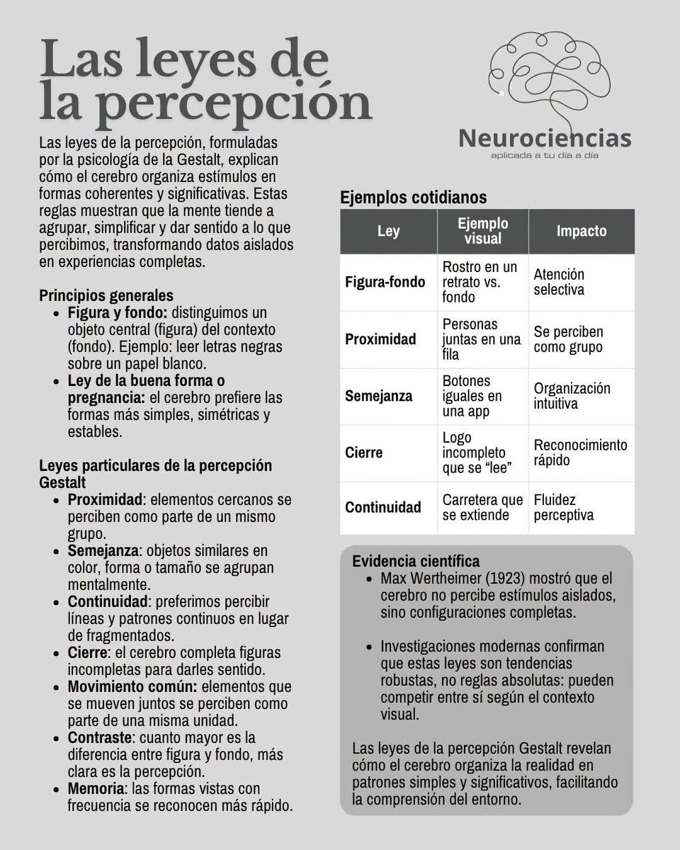 RebolledaGil's tweet photo. Las leyes de la percepción 👇👇👇👇👇 https://t.co/FFbDQWHUPj