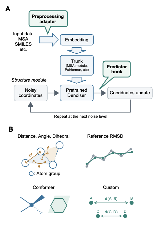 BiologyAIDaily's tweet photo. RGI-Toolkit: Differentiable Restraints for Controllable Biomolecular Structure Prediction

1 RGI-Toolkit is a general-purpose Python library that brings restraint-guided inference (RGI) to diffusion-based structure predictors, enabling controllable structure generation without retraining model weights.

2 The key idea: at each reverse-diffusion step, the toolkit applies a differentiable restraint loss and locally optimizes (approximately “projects”) the denoiser’s predicted coordinates toward a restraint-satisfying set, then continues sampling with the corrected structure.

3 A major engineering contribution is portability: the toolkit centralizes restraint definition, atom selection, loss evaluation, autodiff gradients, and coordinate optimization into a shared, backend-agnostic engine—leaving each predictor to only a thin preprocessing adapter plus a single hook inserted into the denoising loop.

4 It currently supports six predictors: Boltz-2, Protenix-v2, AlphaFold3, Chai-1, OpenFold3, and ESMFold2, leveraging their similar EDM-style sampling to standardize where the RGI hook is applied.

5 Restraints are specified in a common YAML/JSON config (or Python dict for ESMFold2) with a selection DSL (chain/residue/atom + logical operators), so the same restraint recipe can be reused across different prediction backends.

6 Supported restraint types include: distance/angle/dihedral restraints over centroids of atom groups (harmonic or flat-bottom), reference RMSD restraints after Kabsch alignment (including multiple references and anchoring to external PDB/mmCIF coordinates), and custom restraints defined as user-written mathematical expressions over geometric quantities (enabling reaction-coordinate style control).

7 Ligand conformer restraints are a centerpiece: they enforce bond lengths, bond angles, chirality, cis/trans isomerism for acyclic double bonds, plus optional protein–ligand van der Waals repulsion; “ideal” conformers are generated via RDKit ETKDGv3 and optimized with UFF, with independently tunable term weights.

8 Benchmark 1 (209 protein–ligand complexes with cis/trans-distinguishable double bonds): across all six predictors, conformer restraints raised chirality and cis/trans agreement to 100% and improved local ligand geometry (lower bond/angle RMSDs), while adding vdw repulsion helped avoid steric clashes; consistent with prior work, pose accuracy was largely unchanged (geometry fixed without necessarily improving docking correctness).

9 Benchmark 2 (state control in QBP, ADK, and the MFS transporter DgoT): distance, angle, RMSD-to-reference, and custom reaction-coordinate restraints produced systematic, progressive shifts along target conformational coordinates across all models, often outperforming MSA subsampling in direct controllability (e.g., DgoT controlled via a custom ΔD = Din − Dout gate-distance difference).

10 The authors emphasize practical limitations: unreasonable or inconsistent restraints can induce strain or sampling failure; RMSD restraints can show residual deviation due to geometry constraints (e.g., triangle inequality with two references); iterative per-step optimization adds compute overhead; and ligand guidance quality depends on the correctness of the reference conformer.

💻Code: https://t.co/Mt0k3RVbgC  
📜Paper: https://t.co/oK8NXPBwTs
#computationalbiology #structuralbiology #proteinfolding #diffusionmodels #AlphaFold3 #proteinligand #cheminformatics #RDKit #opensource #bioinformatics